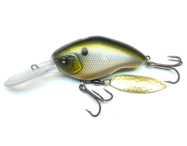 Chippawa DD BL-Chippawa DD BL